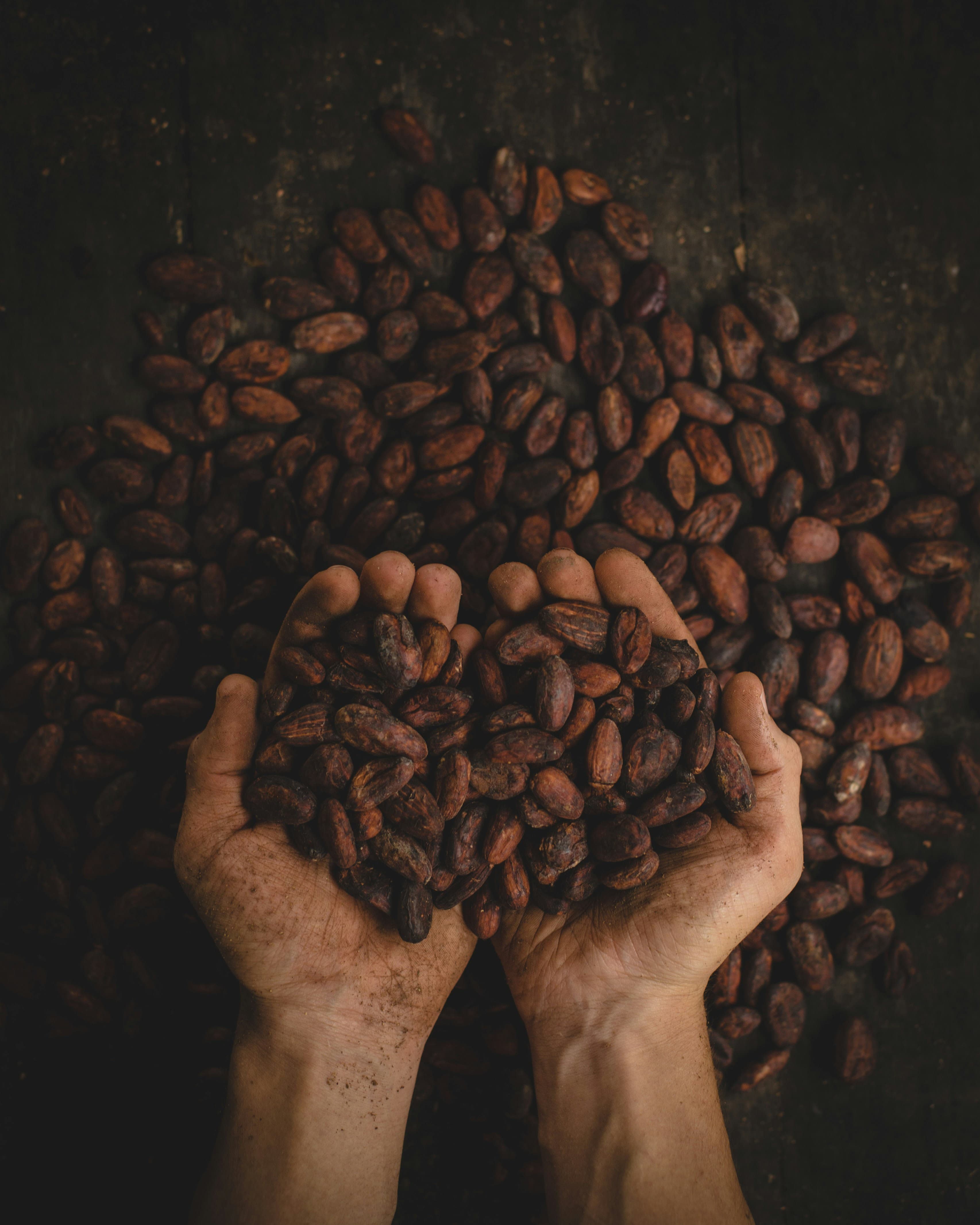Ceremonial cacao beans