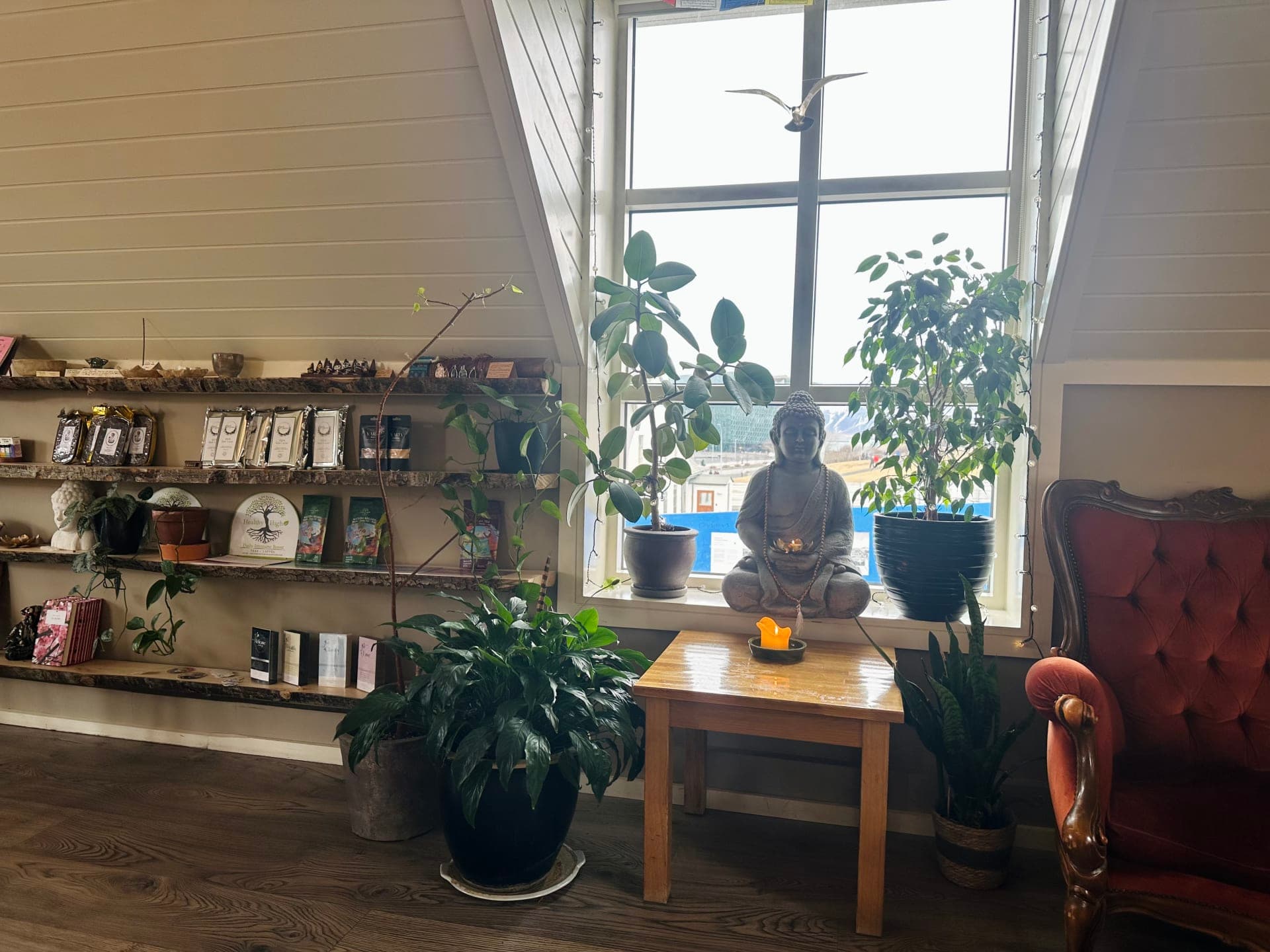 Mama Reykjavik — nourishing food and conscious community in Reykjavik