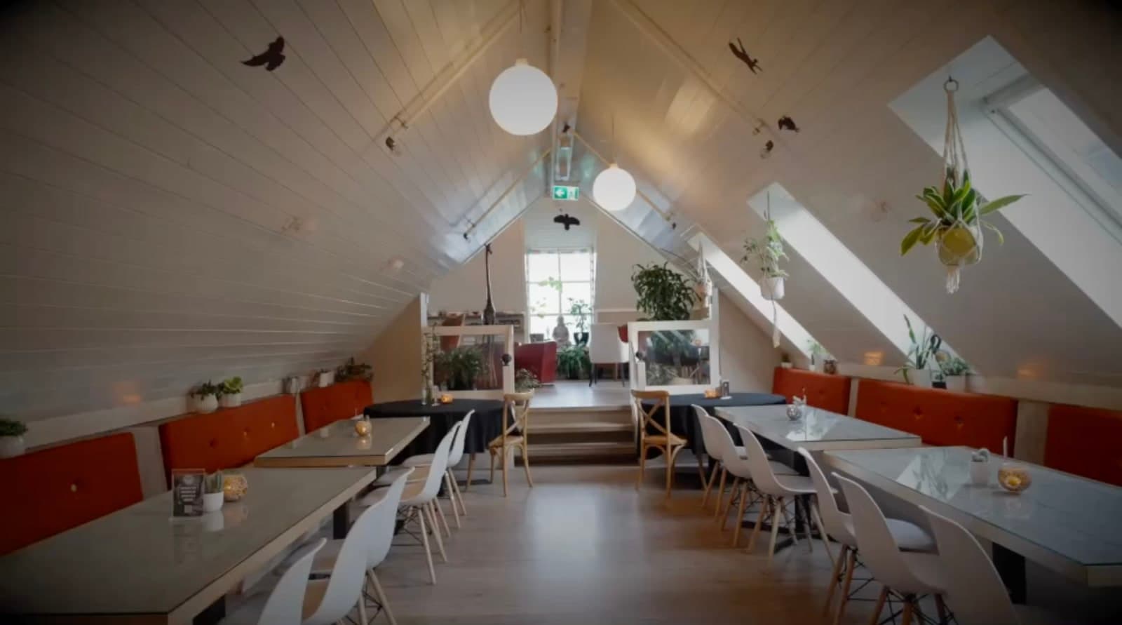 Mama Reykjavik restaurant